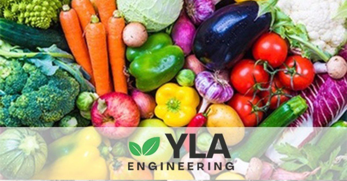 Conservation légumes | YLA Engineering